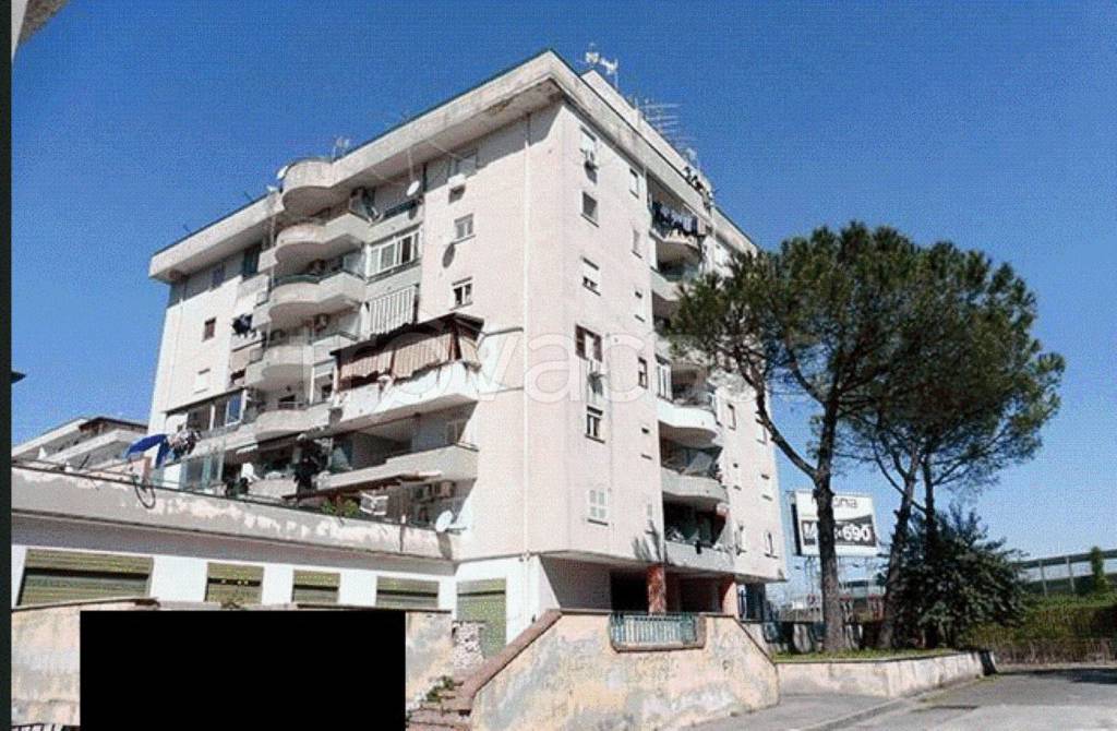 immagine annuncio 9 di 13