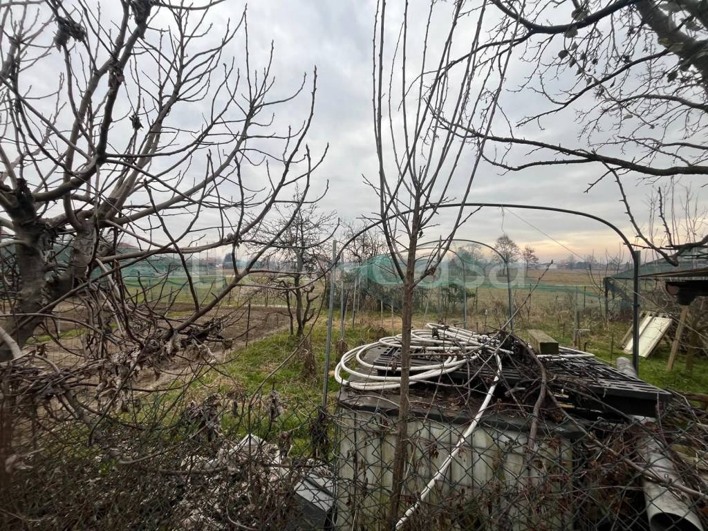 immagine annuncio 1 di 4