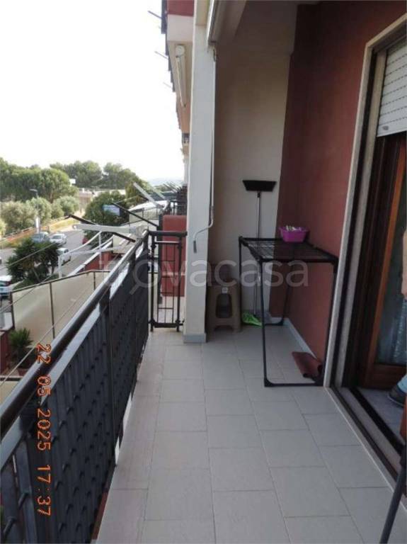 immagine annuncio 7 di 11