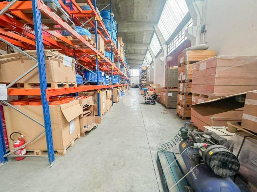 immagine annuncio 6 di 15