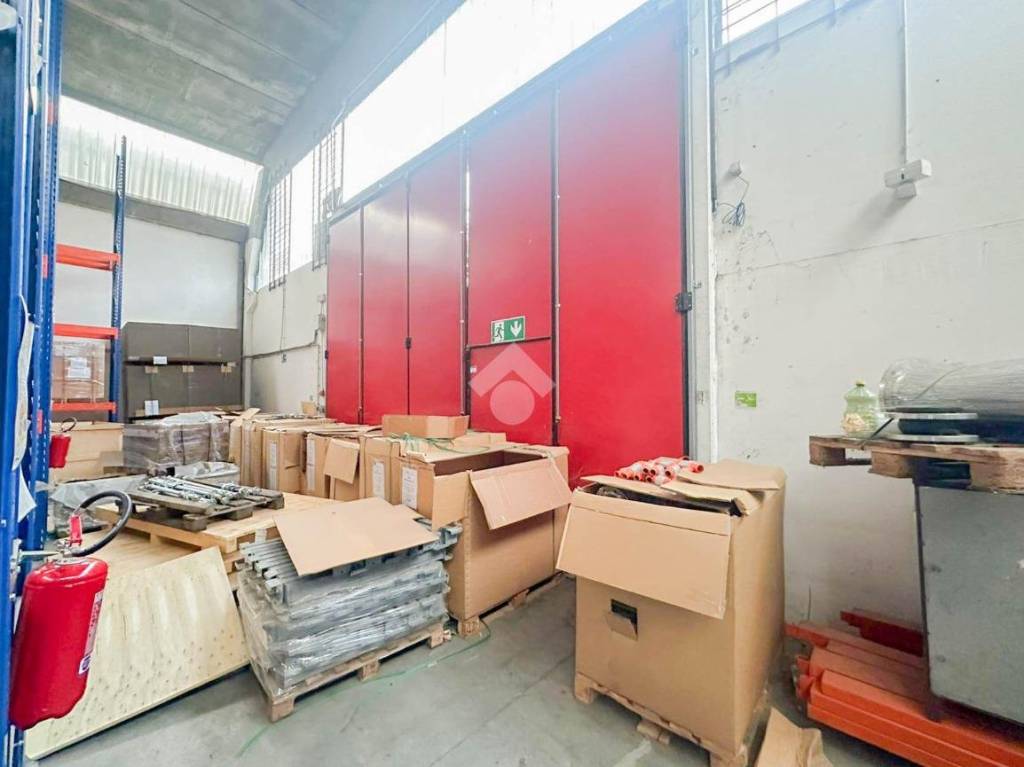 immagine annuncio 11 di 15