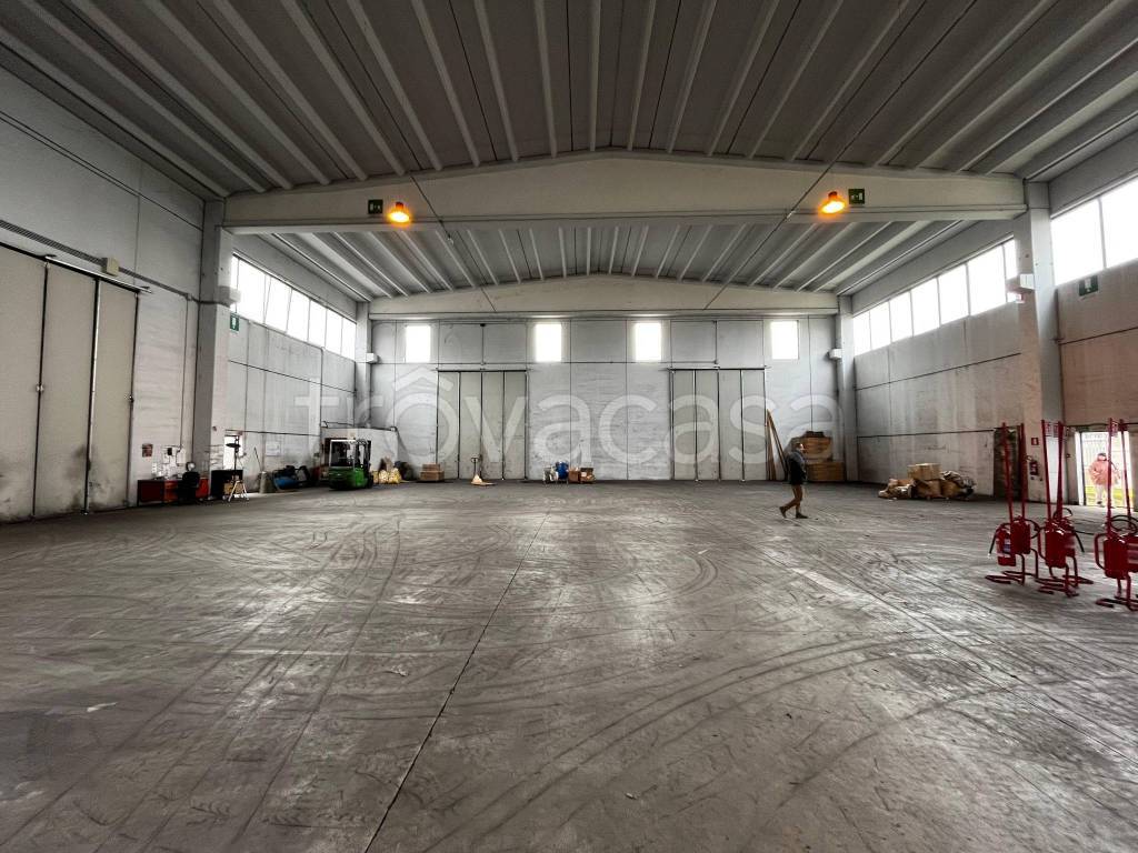 immagine annuncio 5 di 12