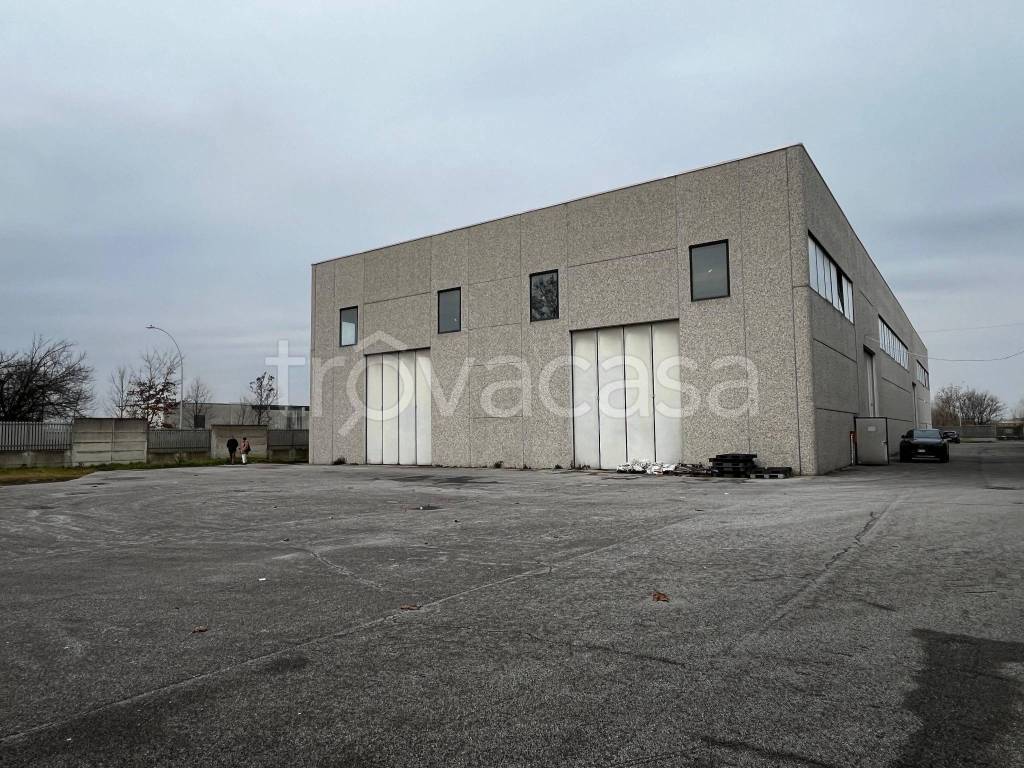 immagine annuncio 1 di 12