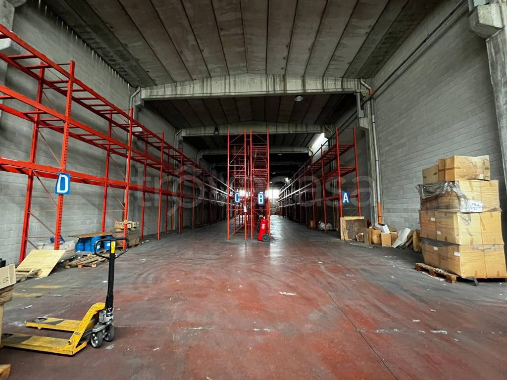 immagine annuncio 10 di 12