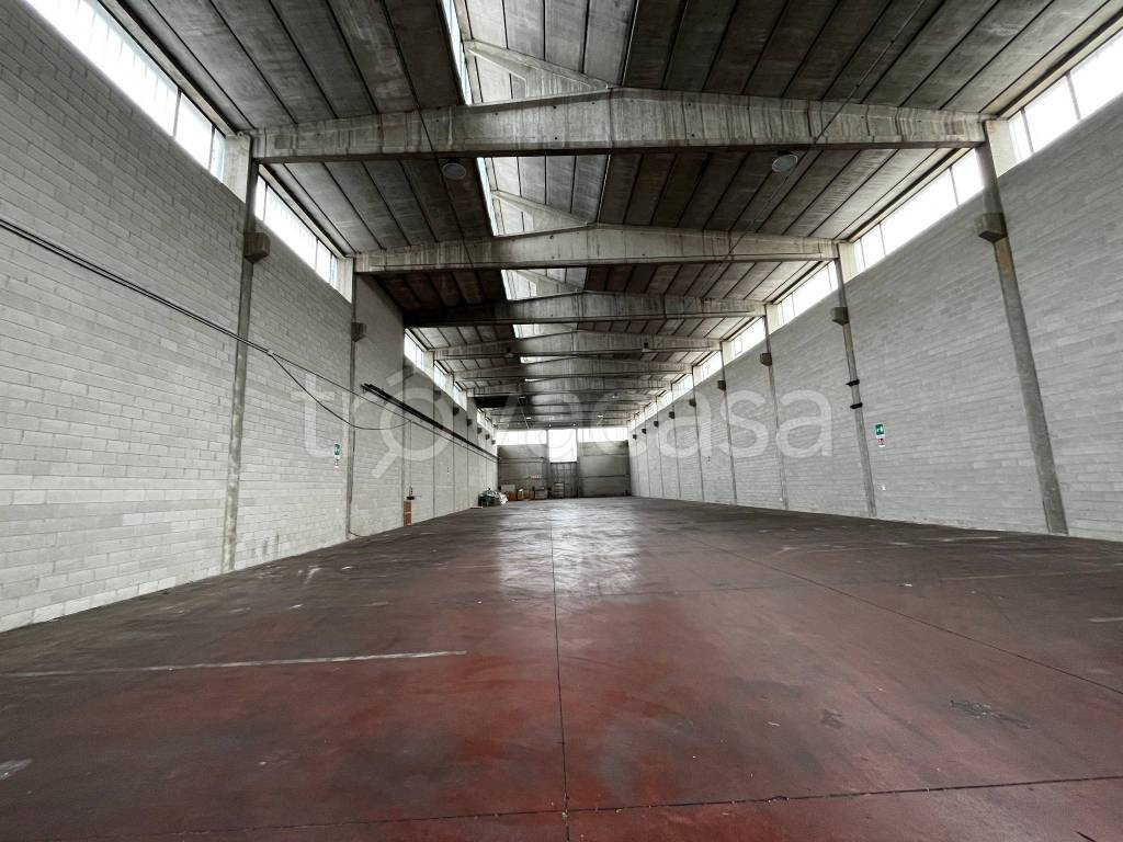 immagine annuncio 11 di 12