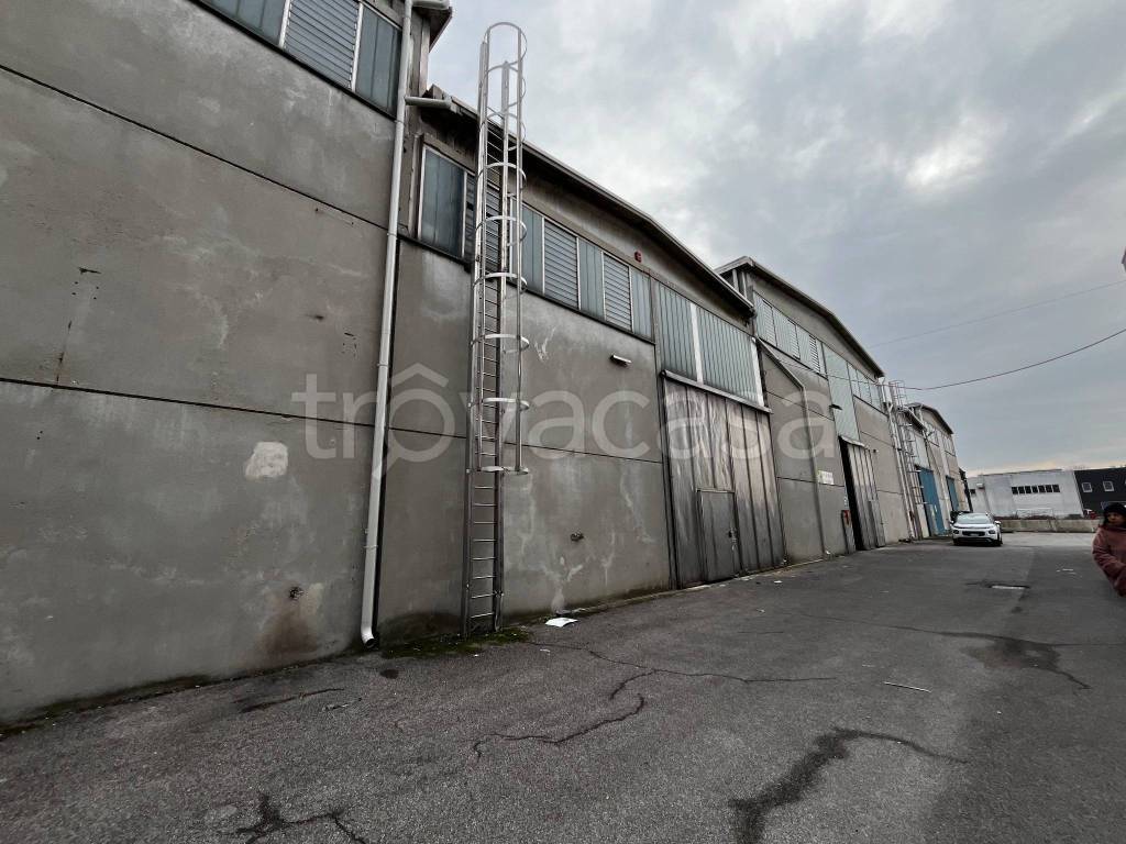 immagine annuncio 3 di 12