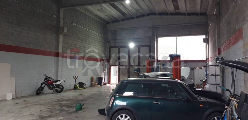 immagine annuncio 2 di 15