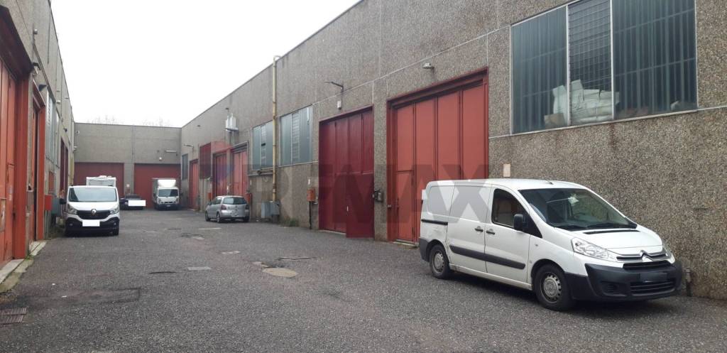 immagine annuncio 4 di 15