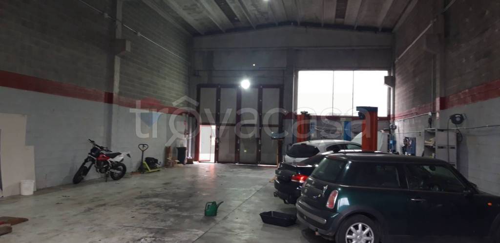 immagine annuncio 8 di 15