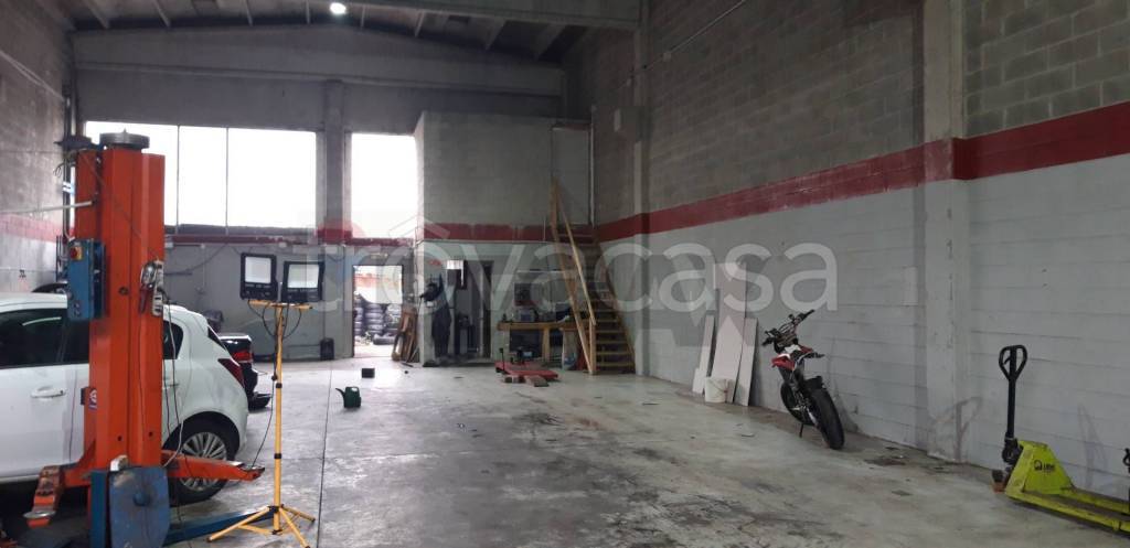 immagine annuncio 9 di 15