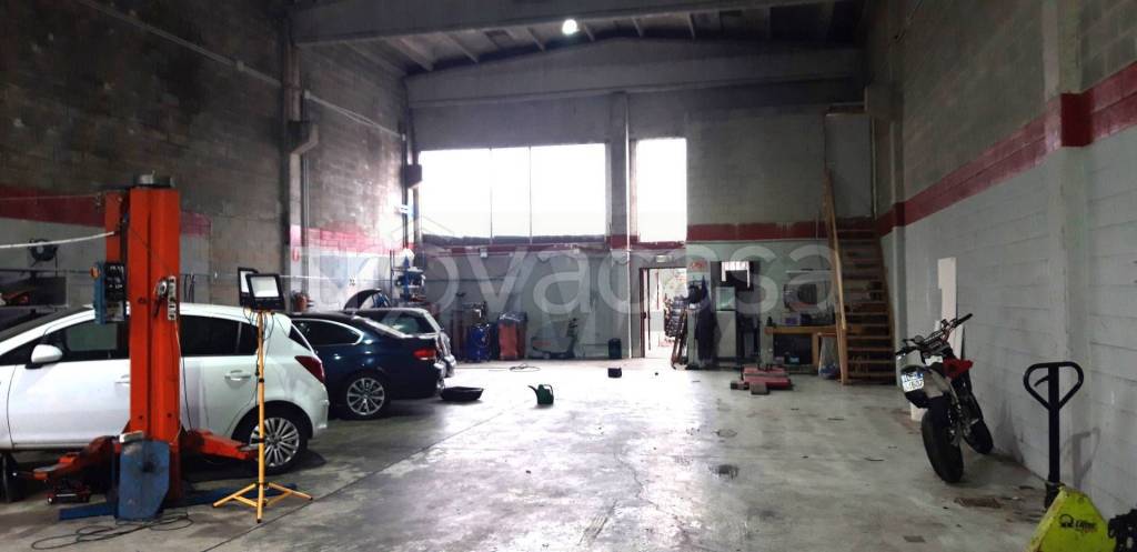 immagine annuncio 11 di 15