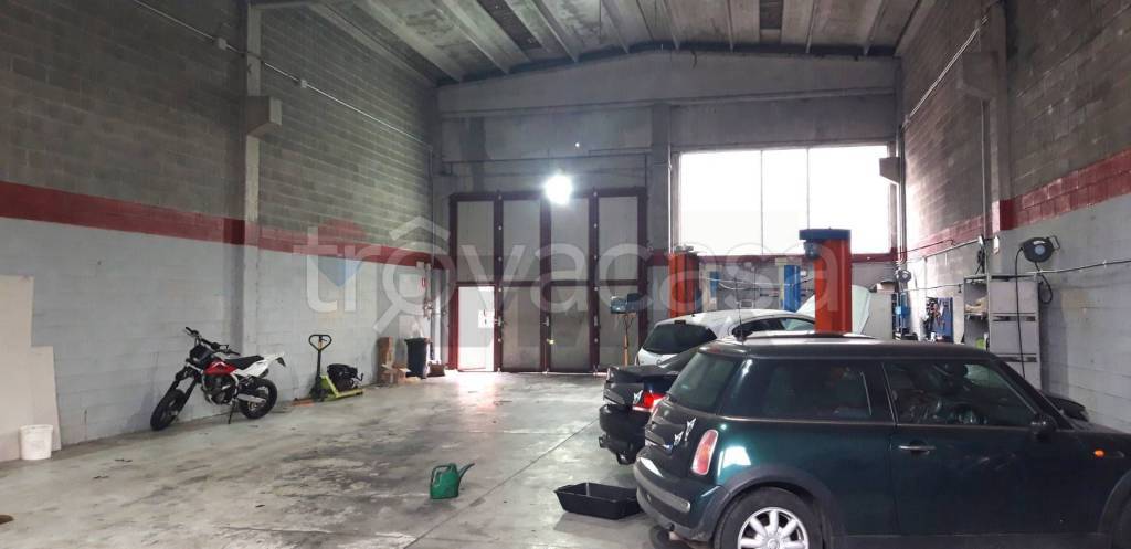 immagine annuncio 12 di 15