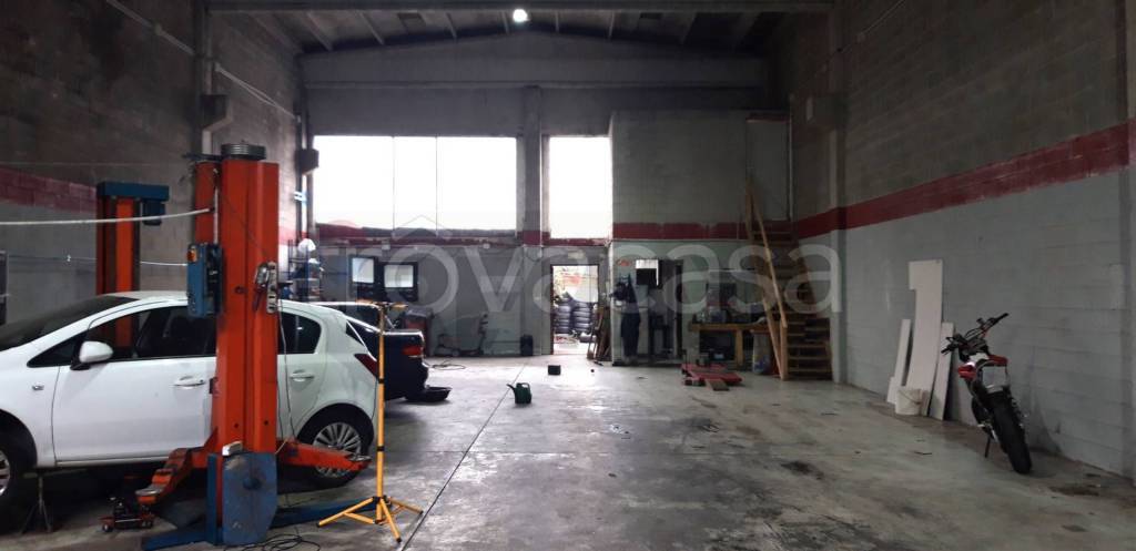 immagine annuncio 13 di 15