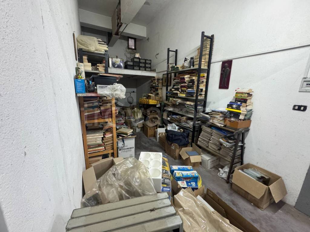 immagine annuncio 11 di 15