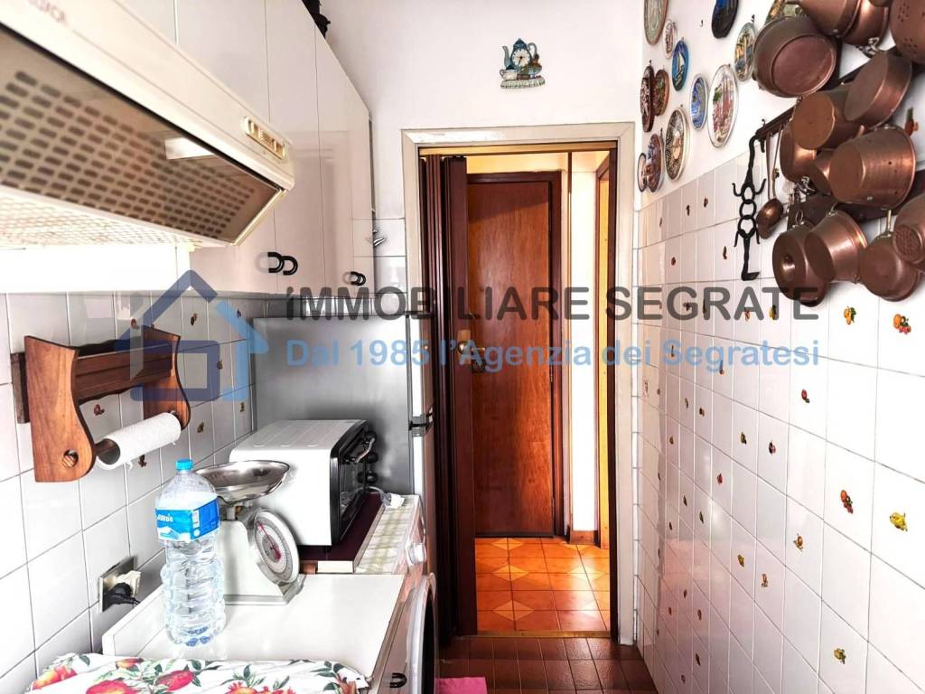 immagine annuncio 5 di 15