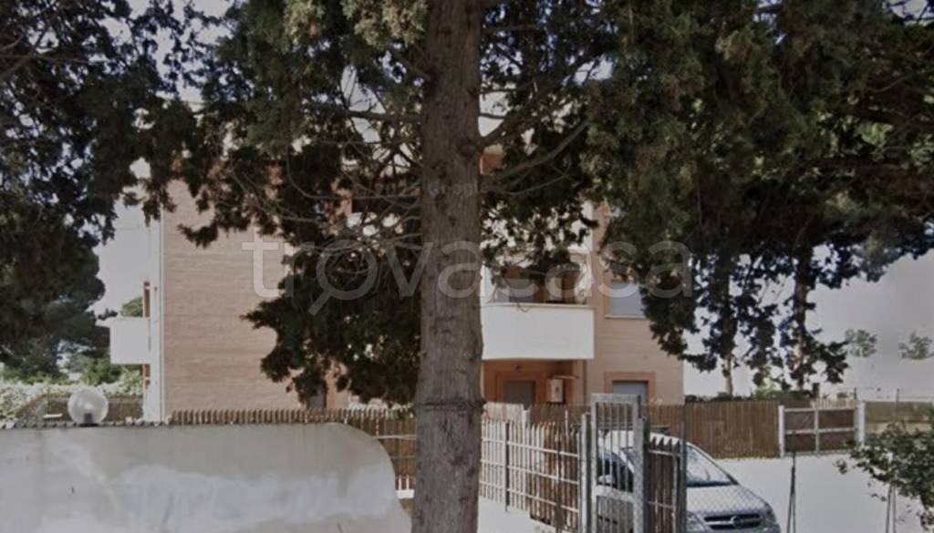 immagine annuncio 3 di 12