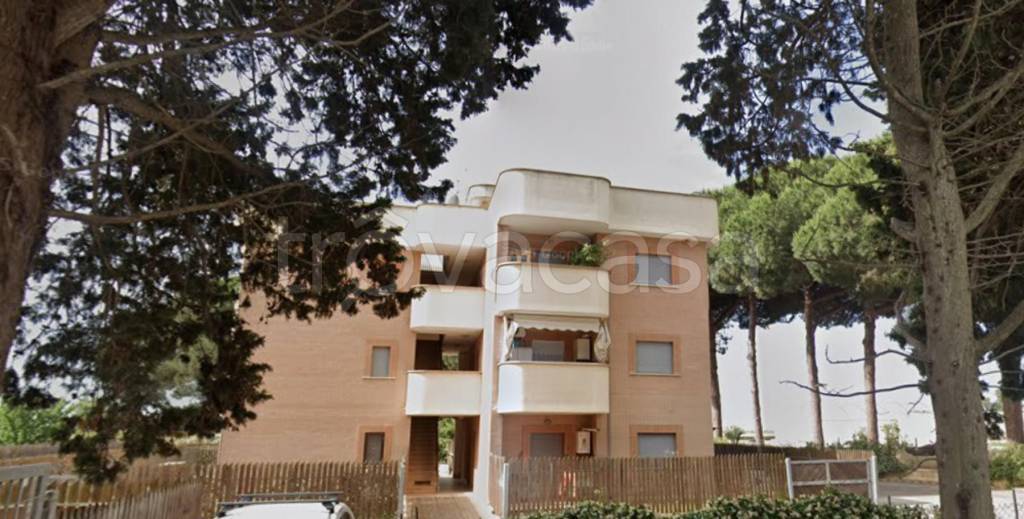 immagine annuncio 5 di 12