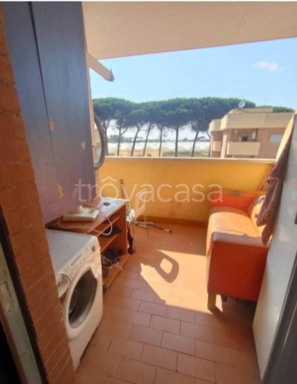 immagine annuncio 7 di 12