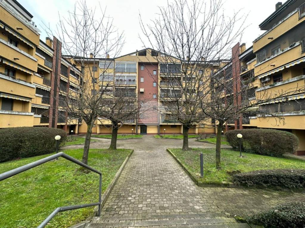 immagine annuncio 2 di 4