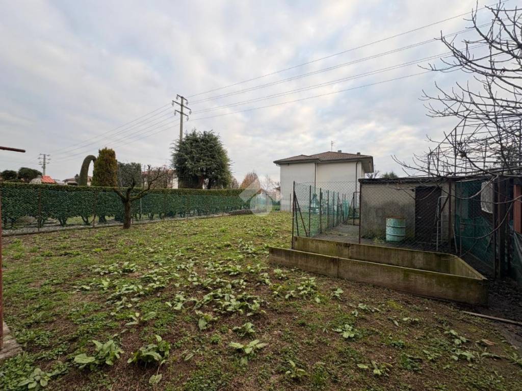 immagine annuncio 9 di 12