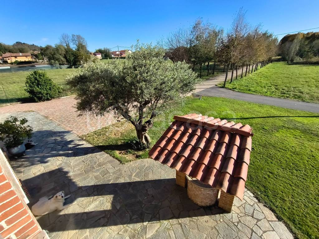 immagine annuncio 10 di 15