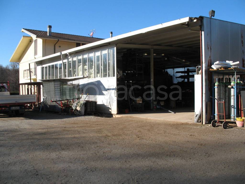 immagine annuncio 12 di 15