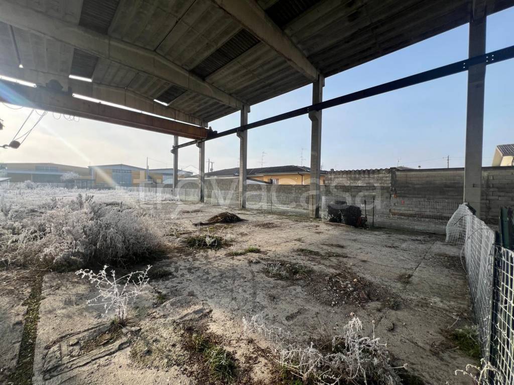 immagine annuncio 2 di 8