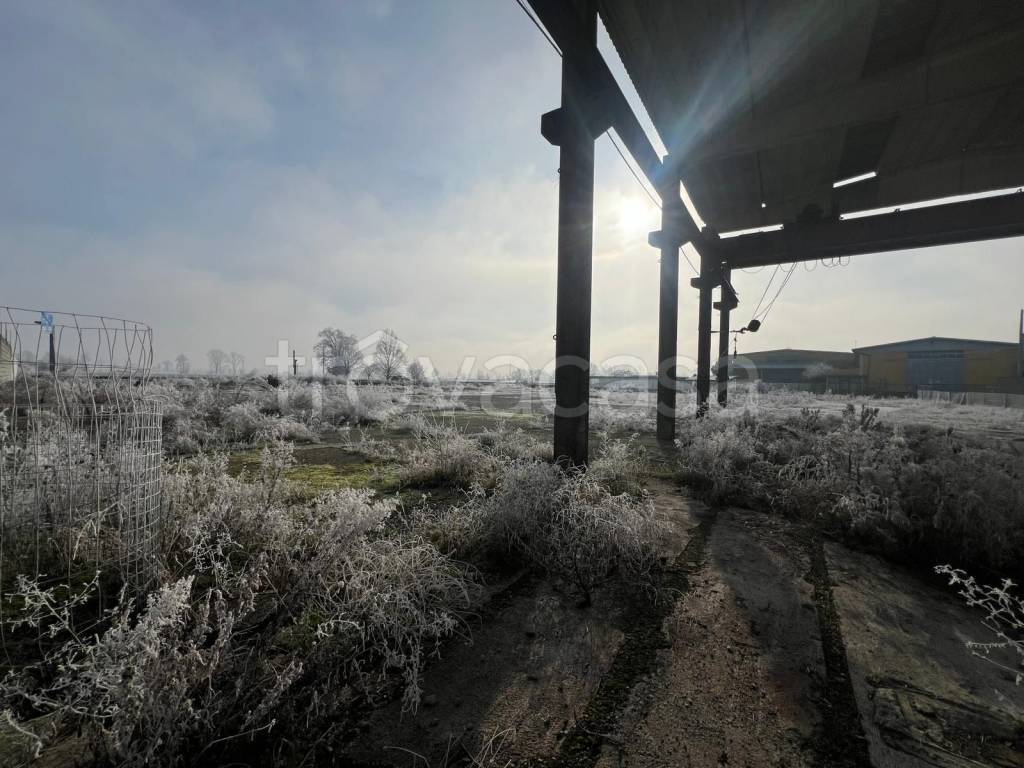 immagine annuncio 1 di 8