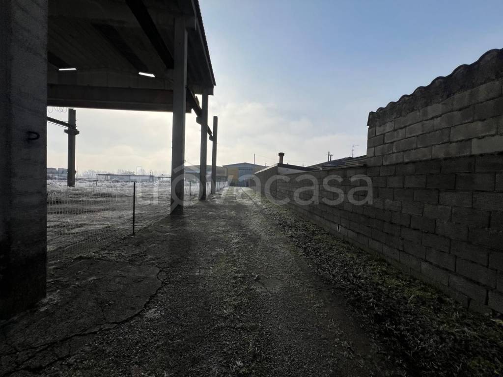 immagine annuncio 3 di 8