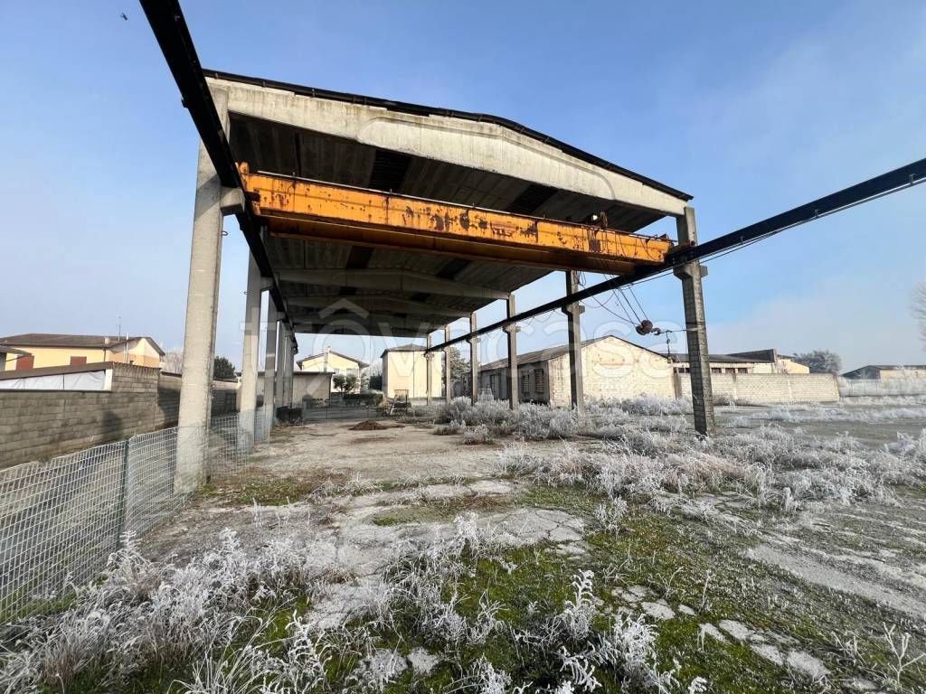 immagine annuncio 4 di 8