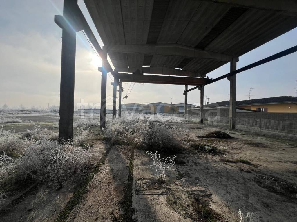 immagine annuncio 5 di 8