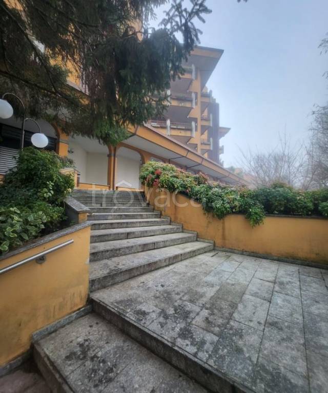 immagine annuncio 1 di 14