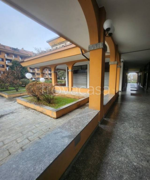 immagine annuncio 1 di 14