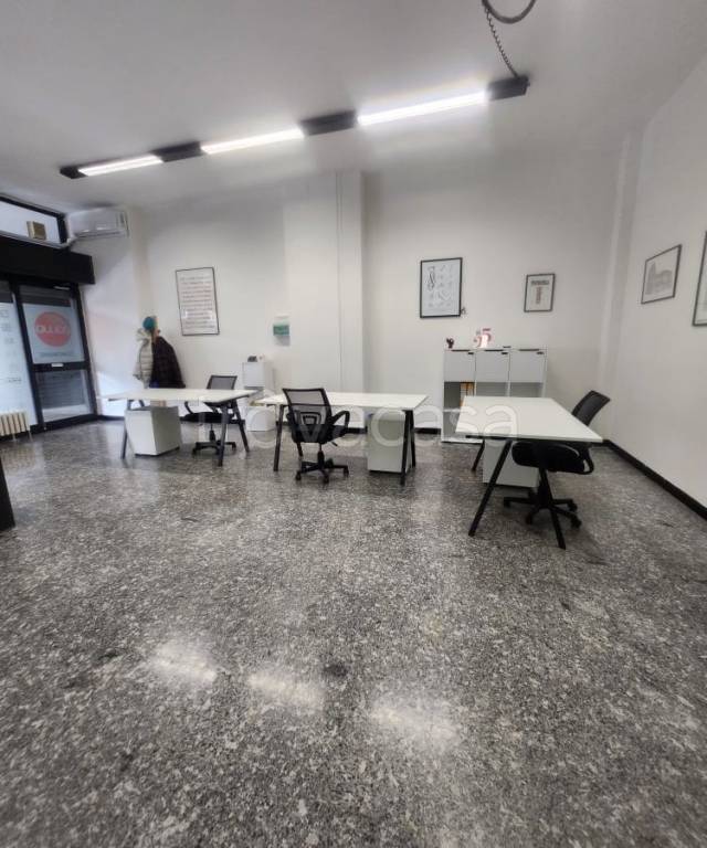 immagine annuncio 3 di 14