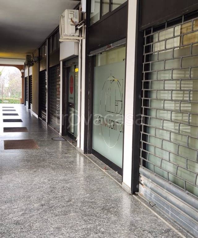 immagine annuncio 8 di 14