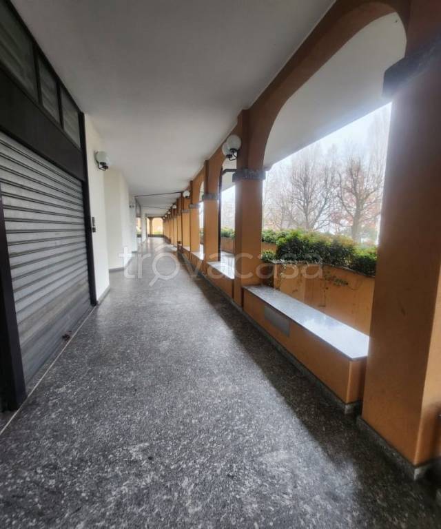 immagine annuncio 11 di 14