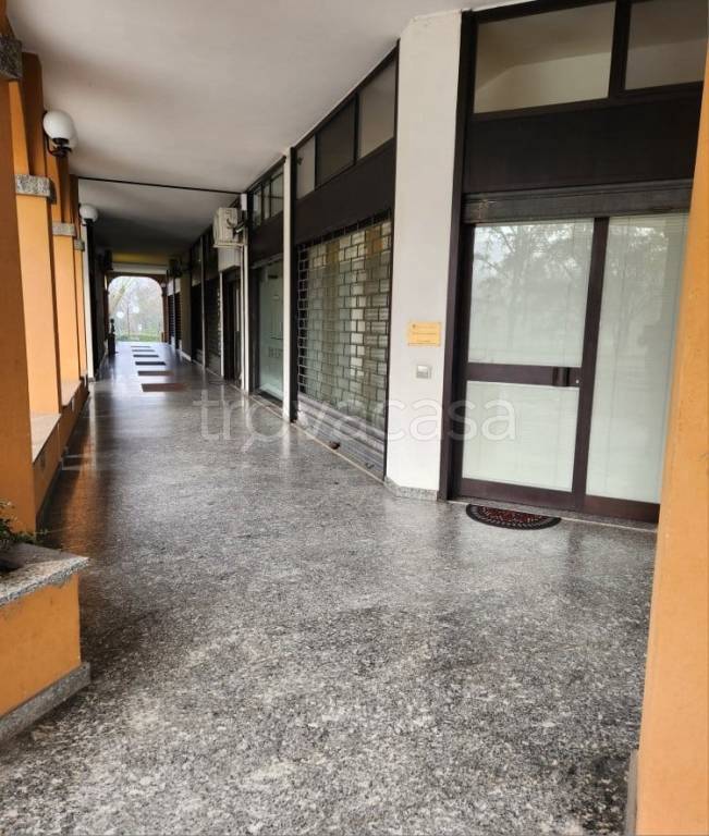 immagine annuncio 13 di 14