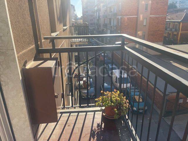 immagine annuncio 1 di 12