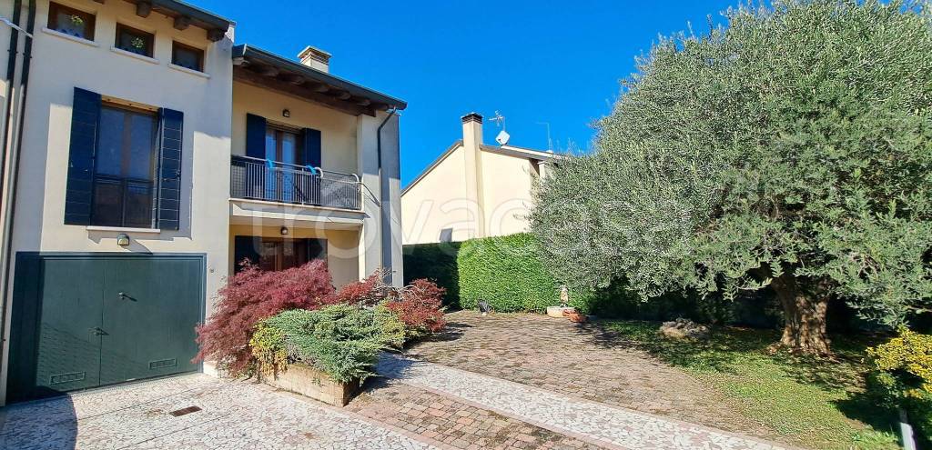 immagine annuncio 1 di 15