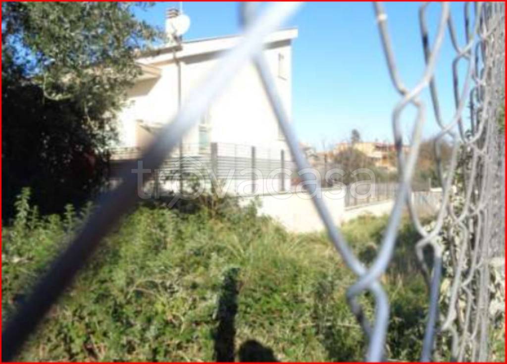 immagine annuncio 6 di 11