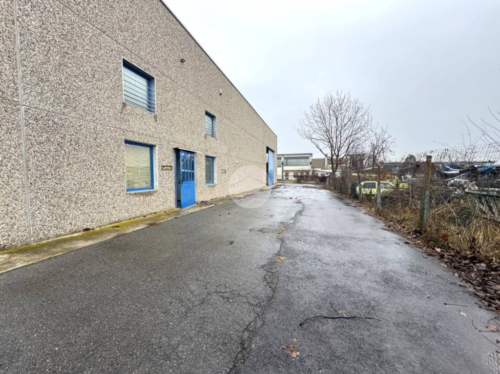 immagine annuncio 5 di 15