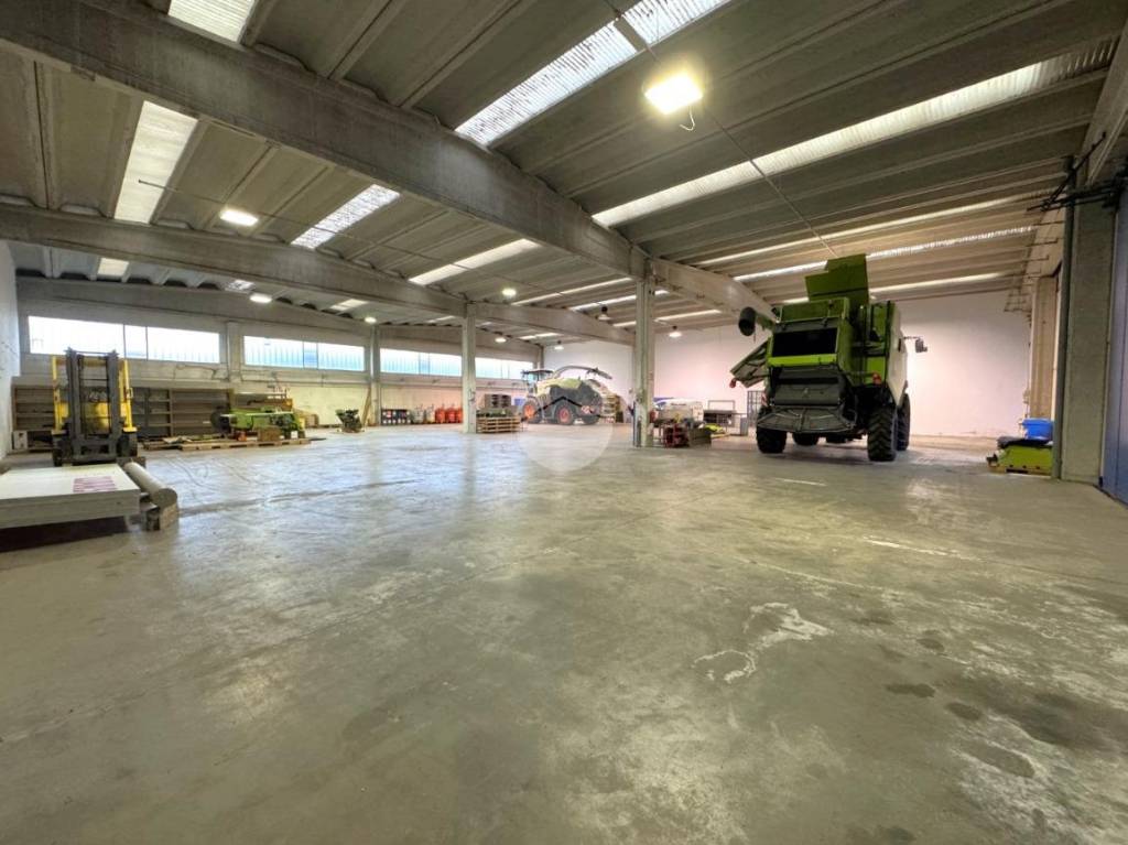 immagine annuncio 13 di 15