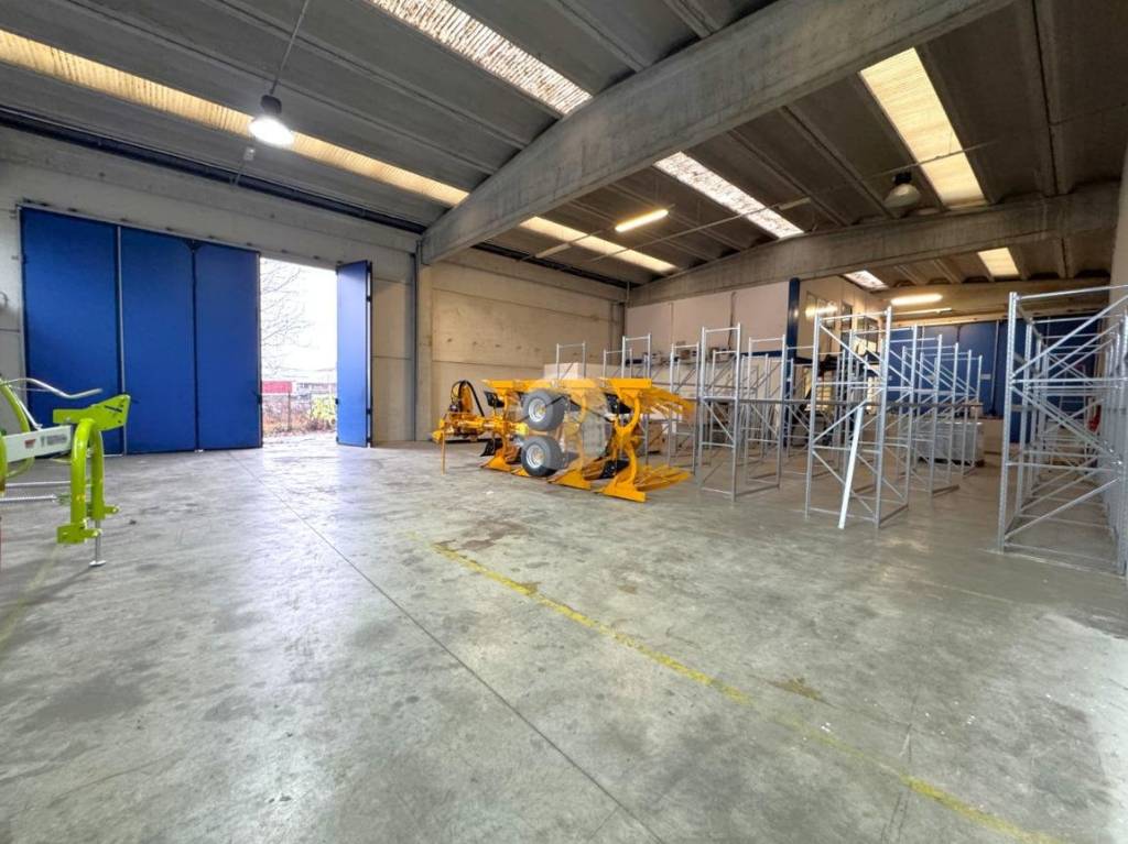 immagine annuncio 11 di 15