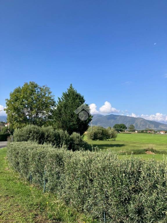 immagine annuncio 2 di 6