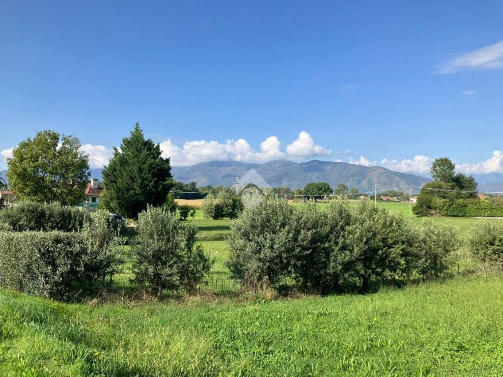 immagine annuncio 3 di 6