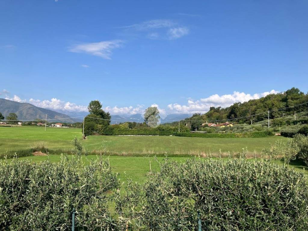 immagine annuncio 4 di 6