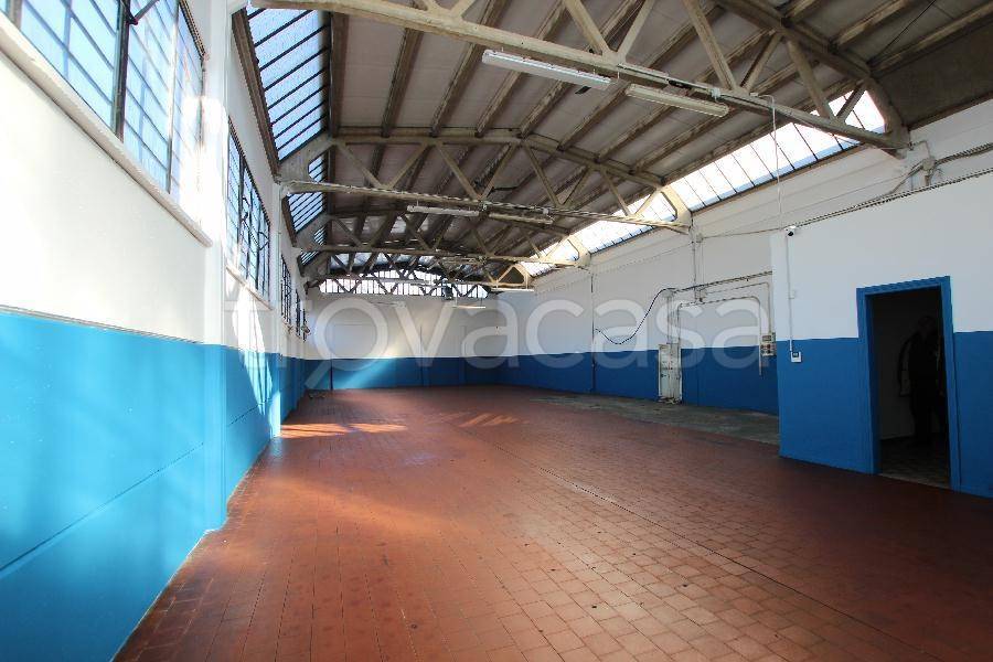 immagine annuncio 3 di 13