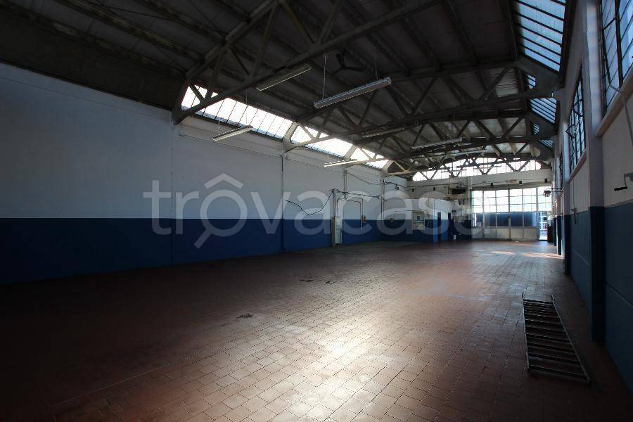 immagine annuncio 6 di 13