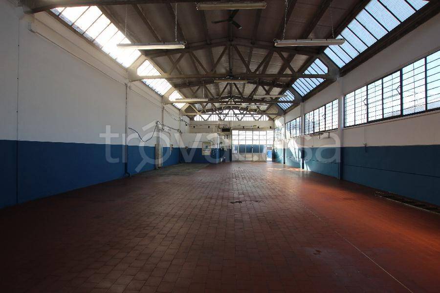 immagine annuncio 7 di 13