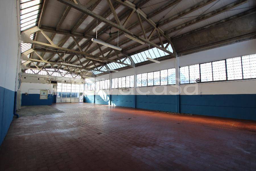 immagine annuncio 8 di 13